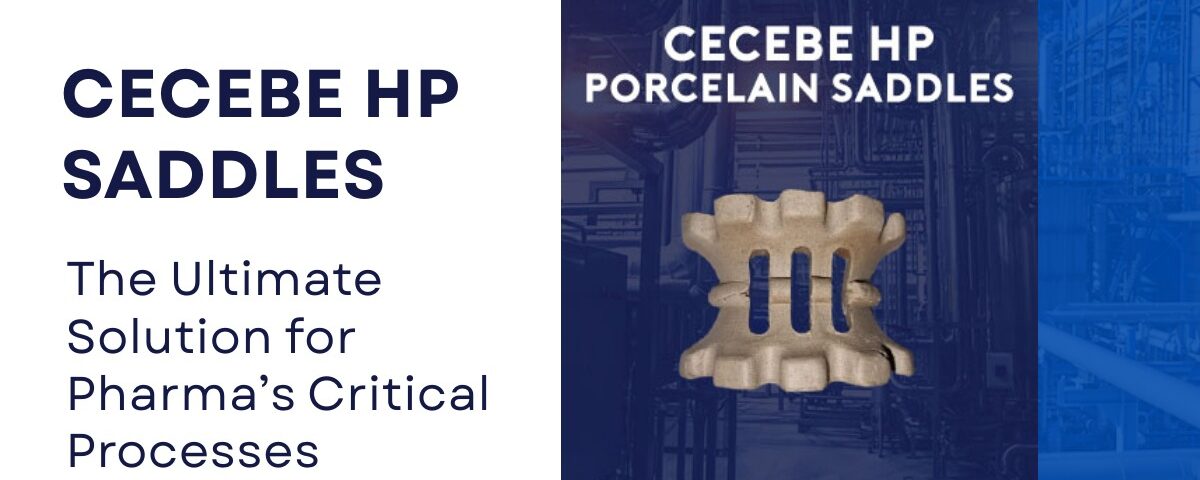 cecebe-hp-porcelain-saddles-for-pharma-processes