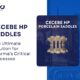 cecebe-hp-porcelain-saddles-for-pharma-processes