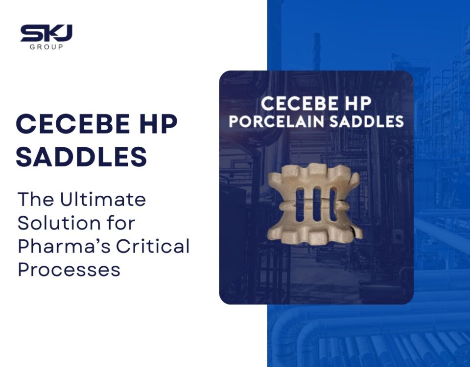 cecebe-hp-porcelain-saddles-for-pharma-processes